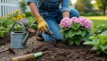 découvrez comment planter un hortensia correctement pour assurer sa croissance optimale et une floraison abondante dans votre jardin.